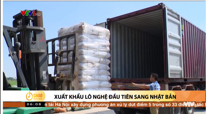 Lần đầu tiên nghệ khô, bột nghệ Việt Nam xuất khẩu chính ngạch sang Nhật Bản